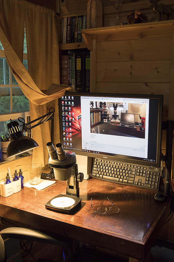 This image shows the computer desk with monitor on an arm so that I can move out of the way. I use an old B&amp;L stereoscope. I can also move the microscope to this desk for photo work so that the monitor and the scope are on the same desk or I can move the laptop over to the microscope desk for imaging. I try to keep things neat and tidy so that I can work without frustration. Many times I also have a hotplate on my desk for preparation of leaf samples.