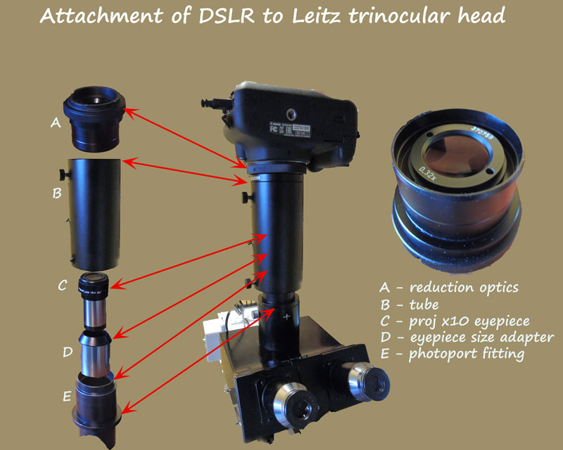 ws_labelled-leitz-full-opti.jpg