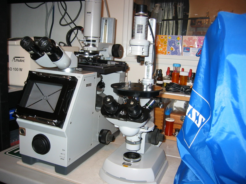 Zeiss ICM 405 with DIC and Zeiss Opton Inverted