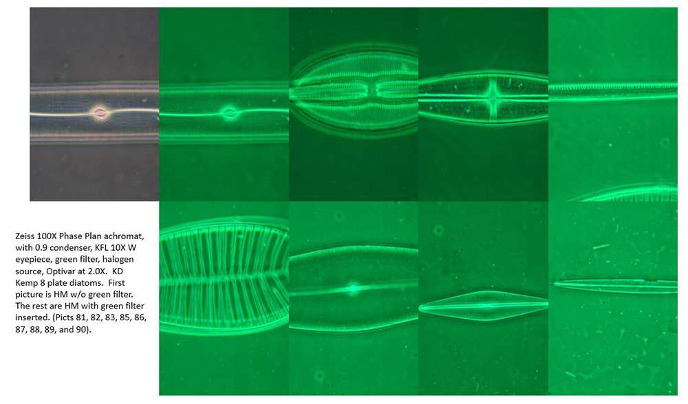 100X Plan achromat phase contrast, optovar 2.0X