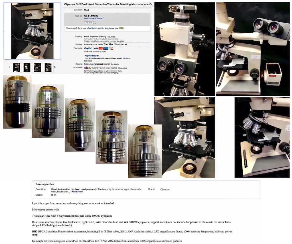 Olympus BH-2 with Olympus SPlanApo objectives (10x, 20x, 40x, 100x), DIC, and twin headpiece