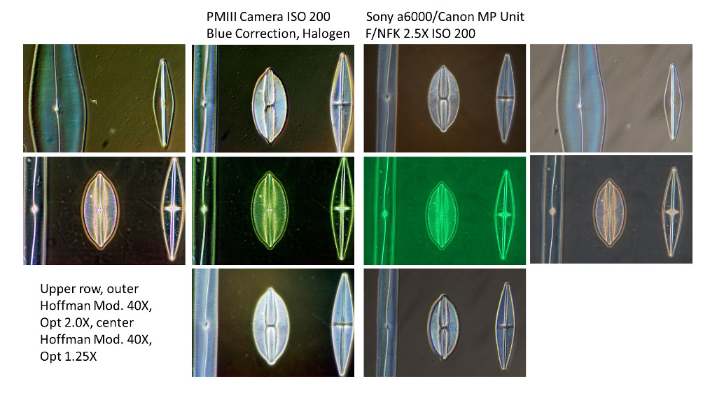 PMIII versus Sony a6000 enhancements