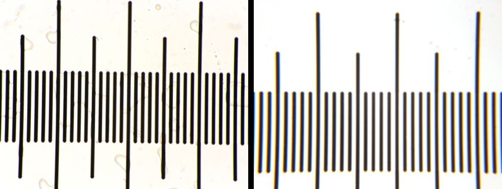 Planapo 40x1.0 oil afocal(left) vs focal(right).jpg