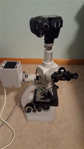 Microscope - Copy (Small).jpg