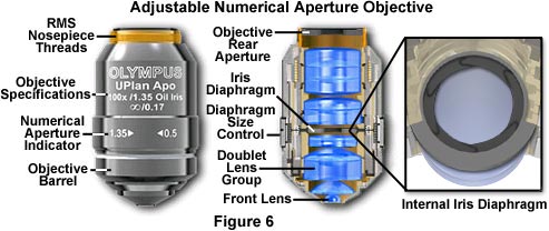 irisdiaphragmlarge.jpg