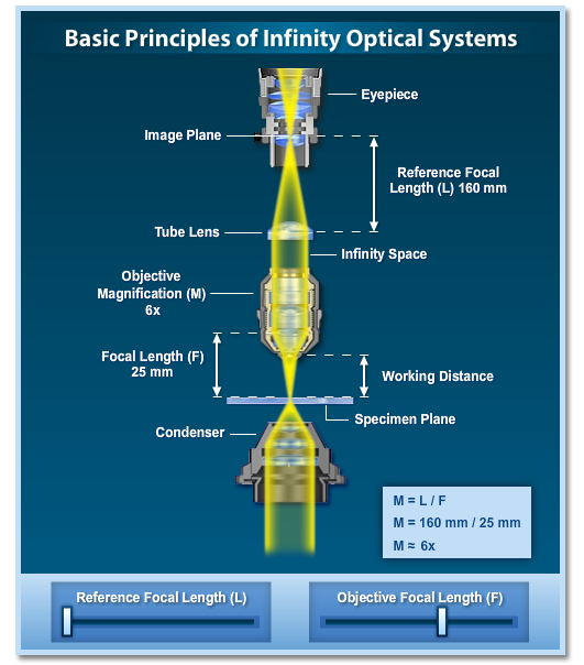 Basic Principles of Infinity Optical Systems.png