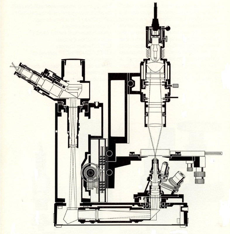 Leitz Diavert Microscope