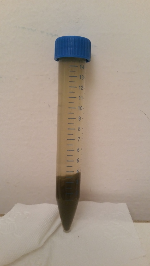 (1) IncOx - original precipitate from filtered collected sample.jpg