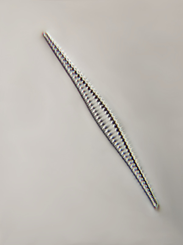 145µm Stack of 12