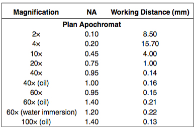 working-distance.jpg