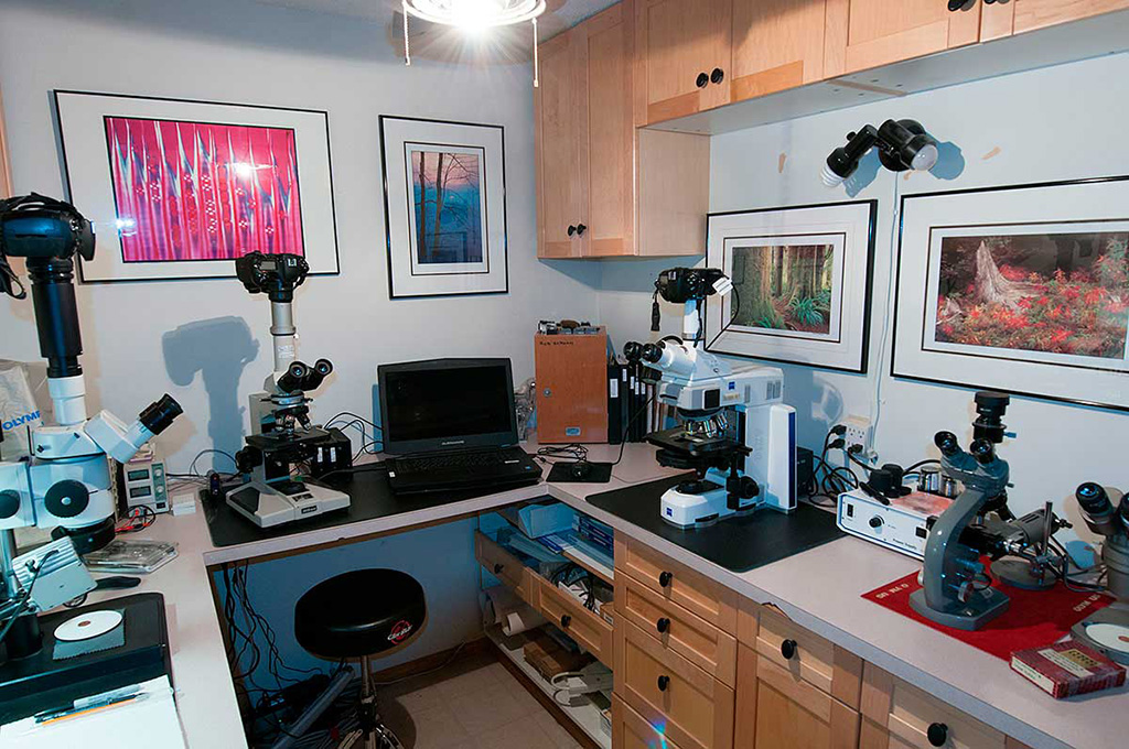 Home microscopy lab - built in what used to be a darkroom.