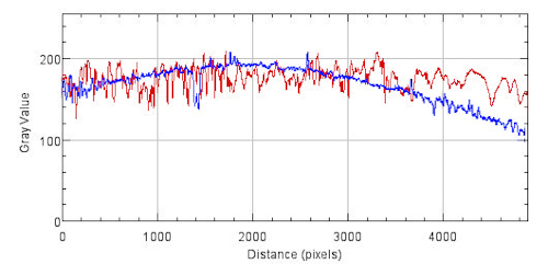 Luminance measured of the field diagonal. Blue: epi-illuminator; red: transmitted light.