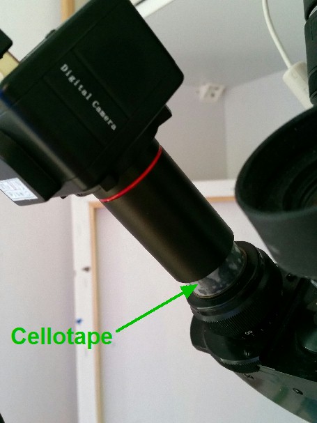 USB camera on microscope.jpg