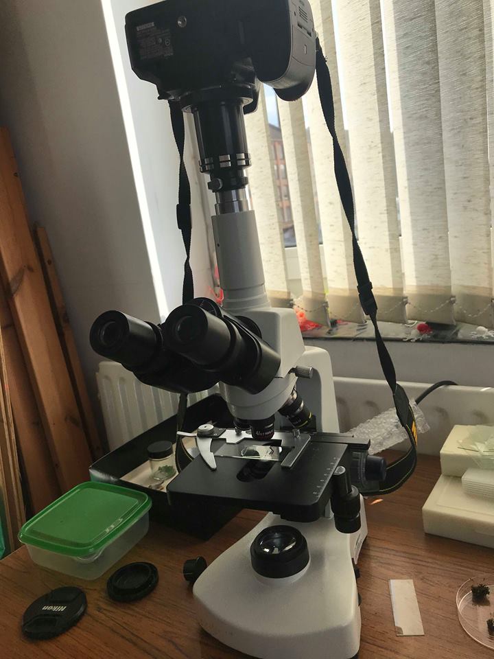 microscope set up.jpg