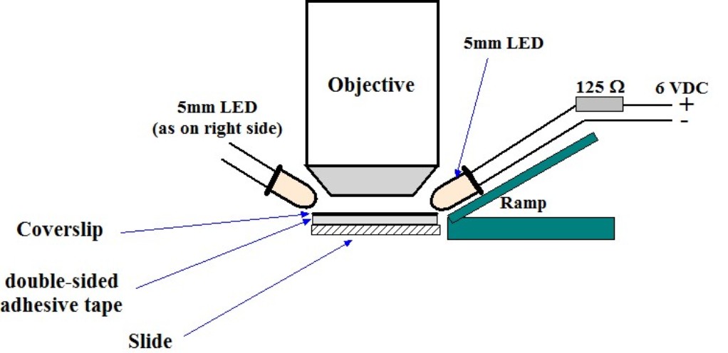 (9) Epi-oblique illumination.jpg