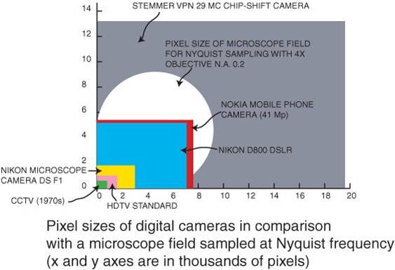 chipsizes.jpg