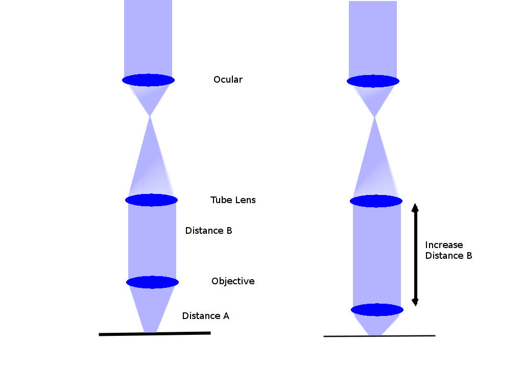 stretching tube length for focus.png