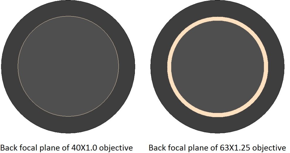 back focal plane objectives Ultracondenser.jpg