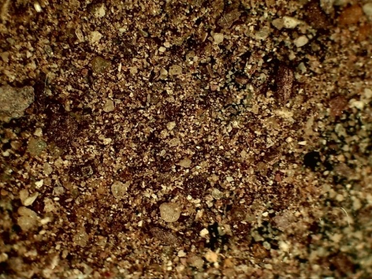 Sand no 4 magenta, 10X.jpg