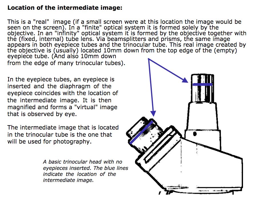 Intermediate image.jpg