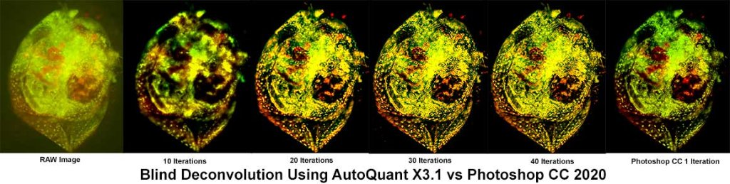 Auto Quant iterations 10-40 and Photoschop I interation