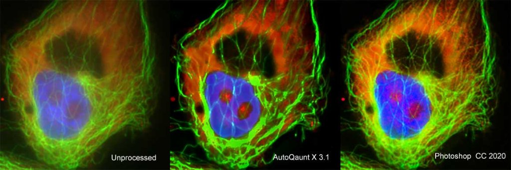 Autoquant Deconvolution vs Photoshop