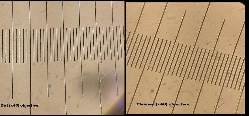 x40 objective (before / cleaned)