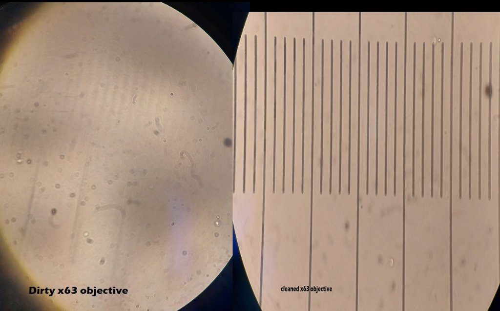 x63 objective (before / cleaned)