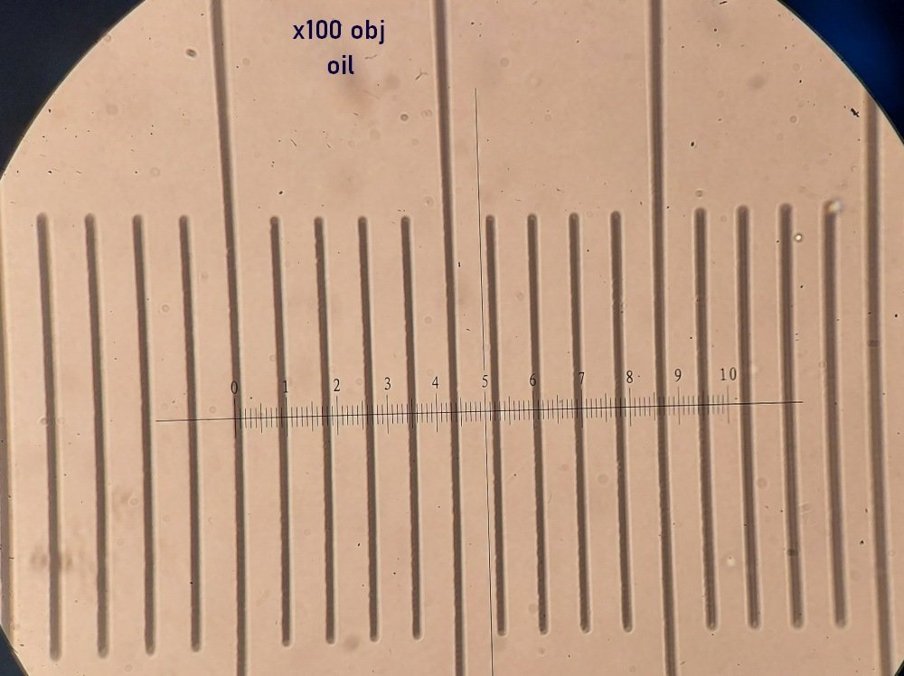 the x100 objective (oil immersion)