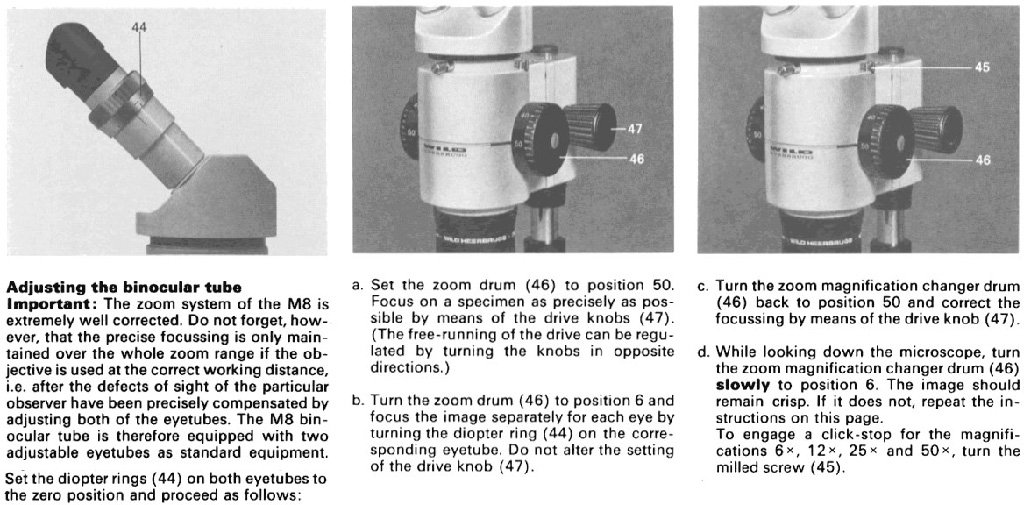 Focusing-Zoom-Stereoscope.jpg