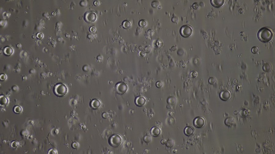 glass bubbles, condenser setting 2, field diaphragm= 20.JPG.JPG