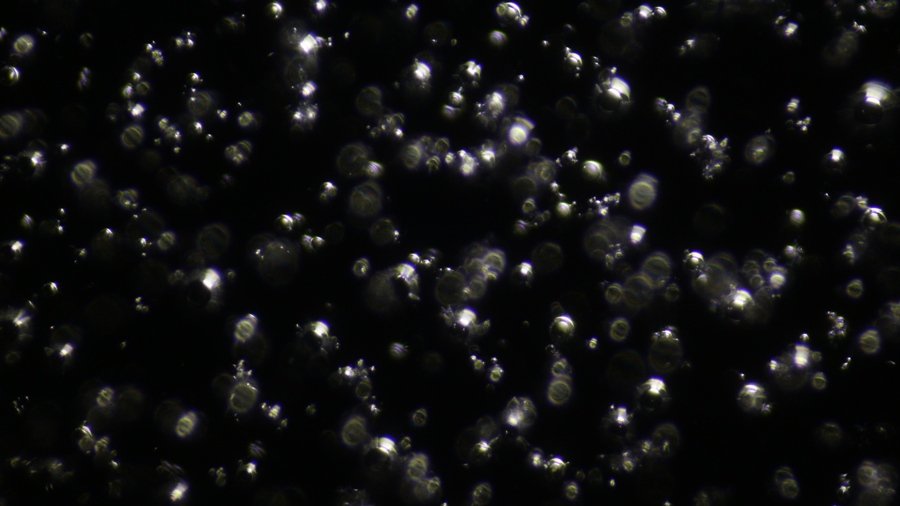 glass bubbles, condenser setting 3, field diaphragm= 10.JPG.JPG