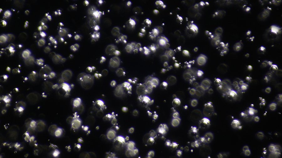 glass bubbles, condenser setting 3, field diaphragm= 20.JPG