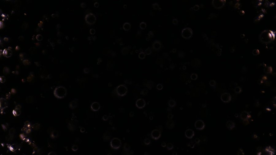 glass bubbles, condenser setting 4, field diaphragm= 5.JPG.JPG