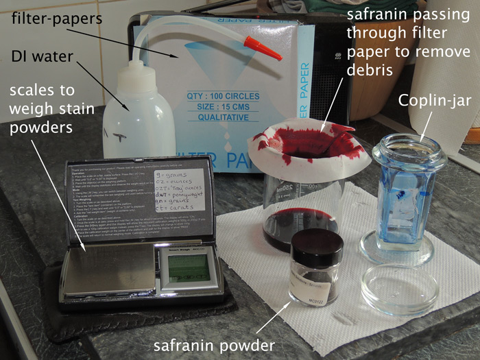 Filtering freshly-mixed aqueous Safranin