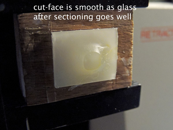 Typical rounded-square of TT system's moulds shows on cut face