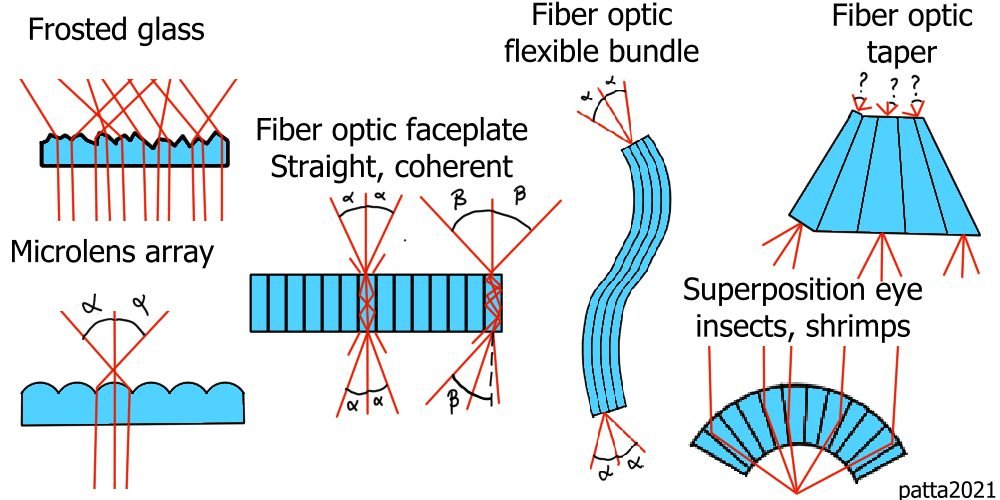 Frosted and Fiber.jpg