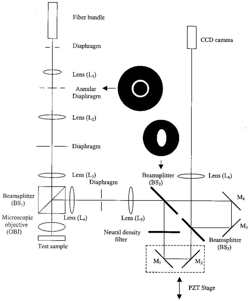 Diagram-of-the-adjustable-phase-contrast-microscope.png