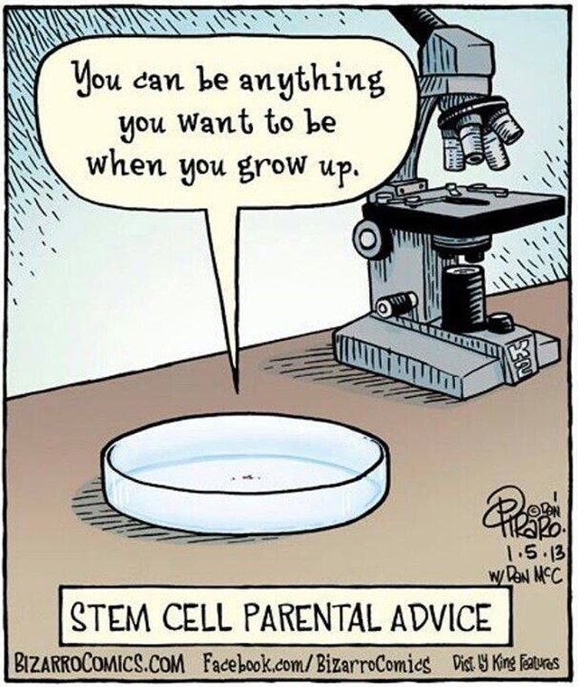 StemCellHumor.jpg