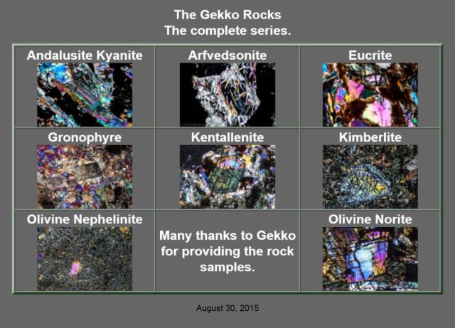 The Complete Gekko Rocks Collection