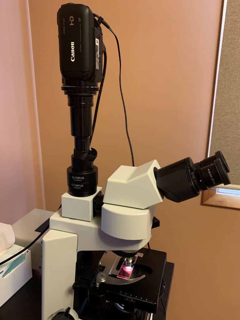 microscope1.jpg