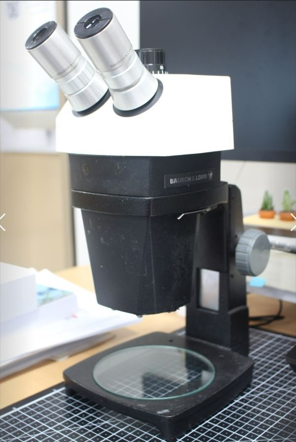 B&amp;L stereo zoom 7 microscope I own.