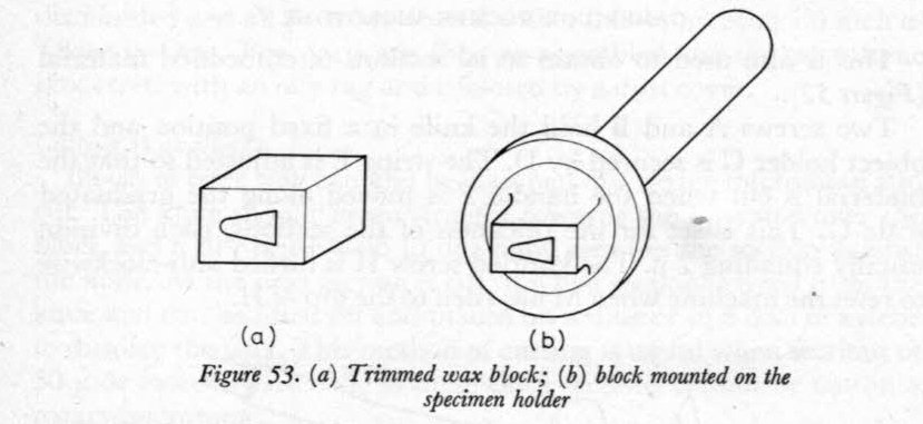Purvis et al, 1966