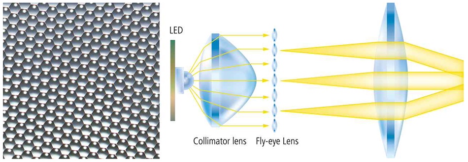 80i fly eye light path copy.jpg