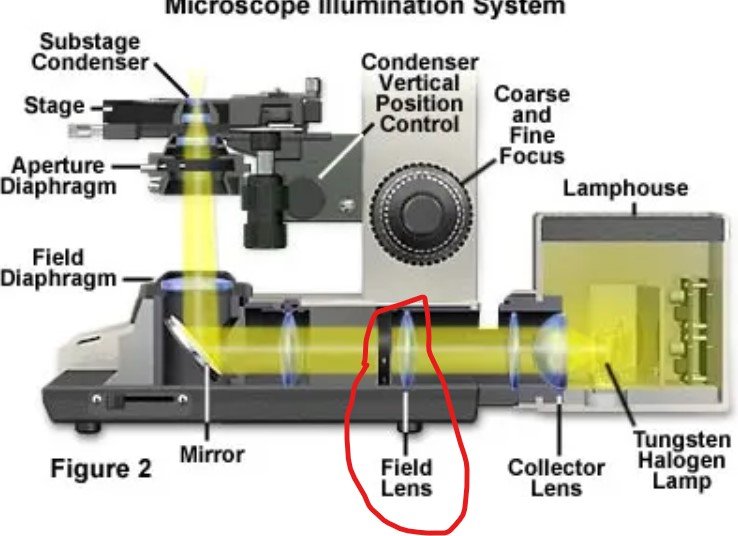 显微镜照明场透镜.jpg