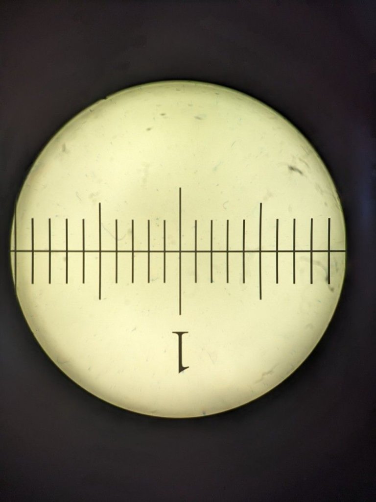 AO/Reichert cat. # 145 eyepiece 20.25mm f.o.v. Tiny bit of curvature  but more suited to the 45mm parfocal Austrian optics.