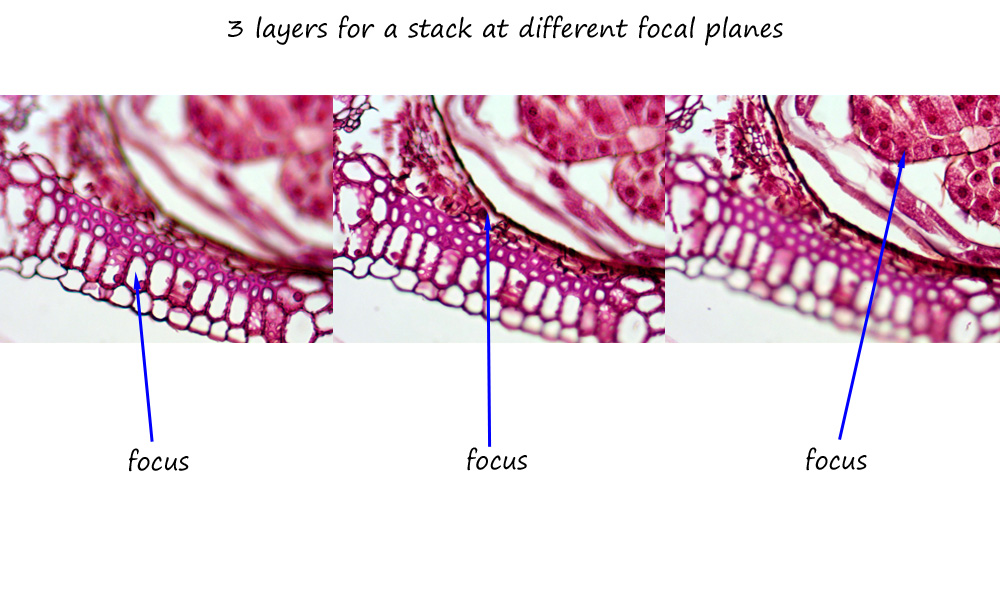 ws_stackslicestrio.jpg