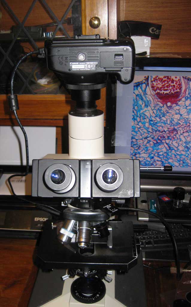 camera on trinoc port_1.jpg