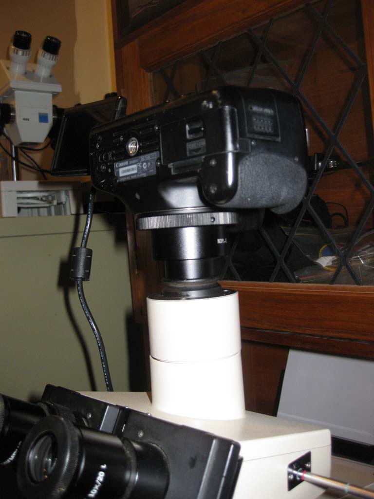 camera on trinoc port.jpg