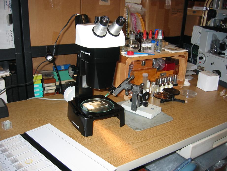 Stereo Scope and Manipulator2.jpg